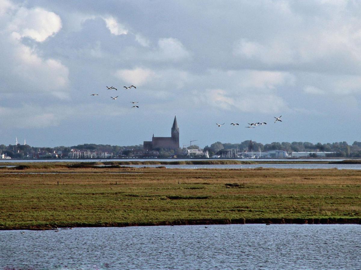 Glebbe 17 - Wohnung Suedblick Zingst Exteriér fotografie